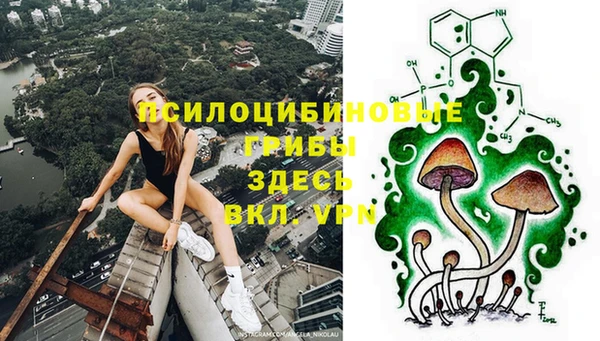винт Ладушкин