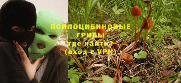 мет Кукмор